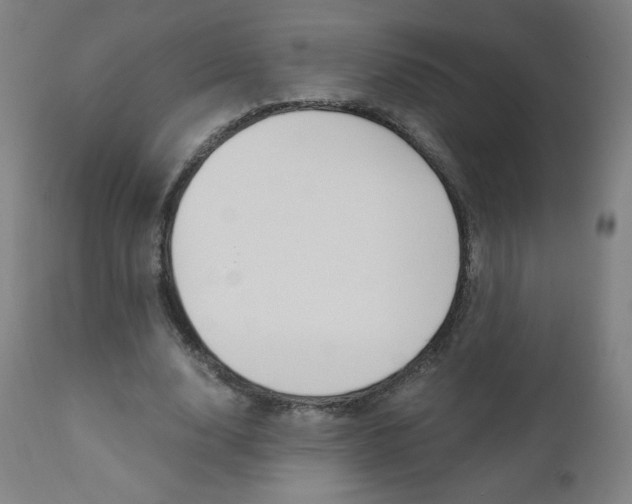X0000110950632200906191116