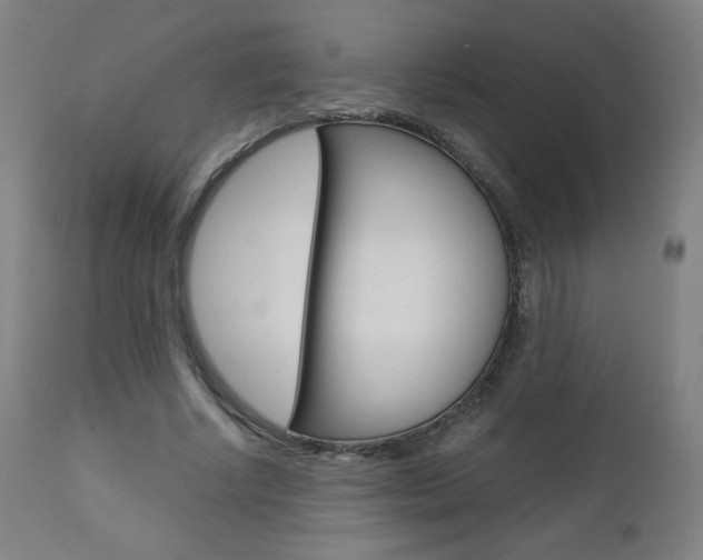 X0000110950634200906191116