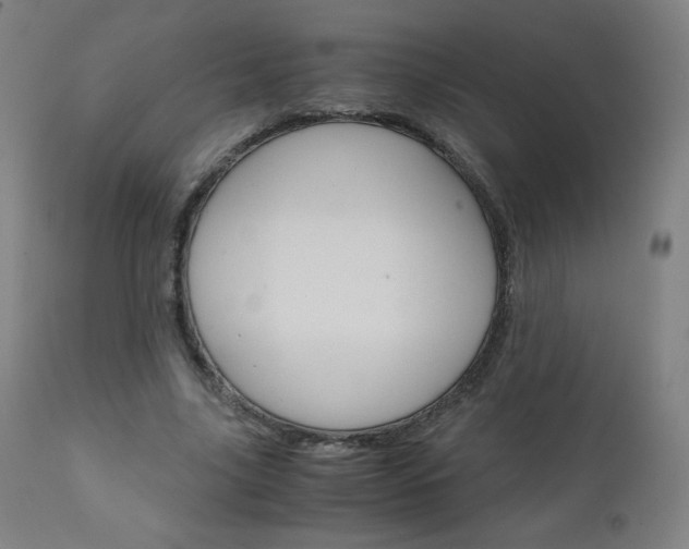 X0000110950635200906191116