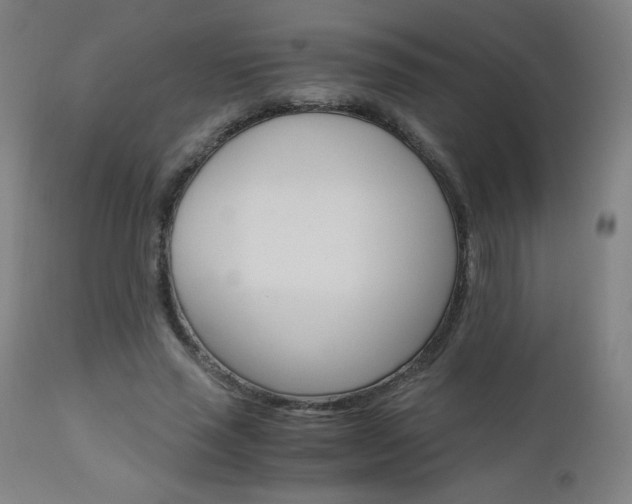 X0000110950637200906191116