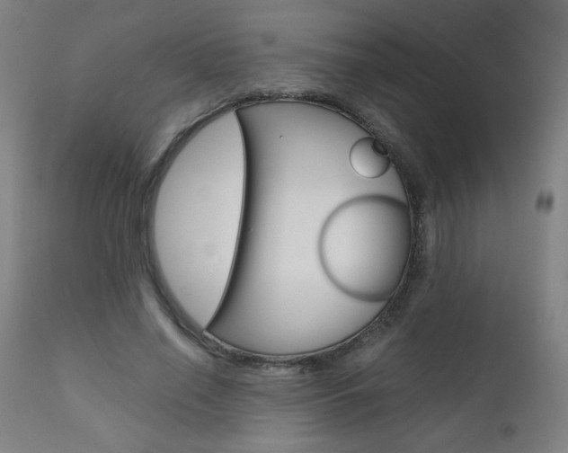 X0000110950638200906191116