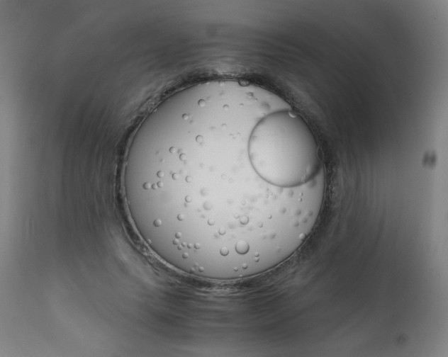 X0000110950639200906191116