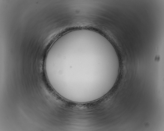 X0000110950640200906191116