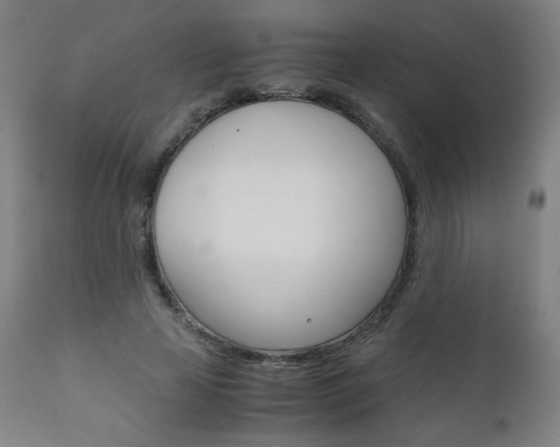 X0000110950641200906191116