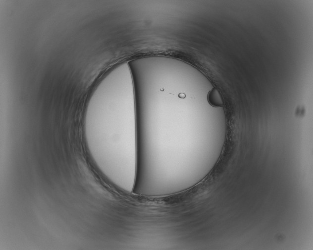 X0000110950642200906191116