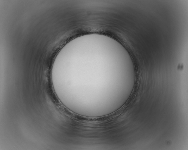 X0000110950643200906191116