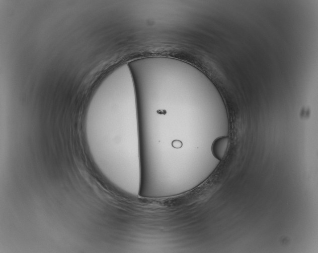 X0000110950644200906191116