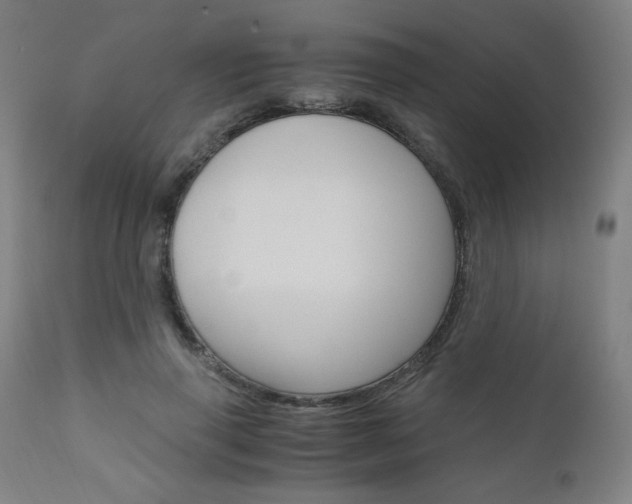 X0000110950645200906191116