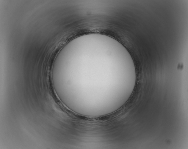 X0000110950646200906191116