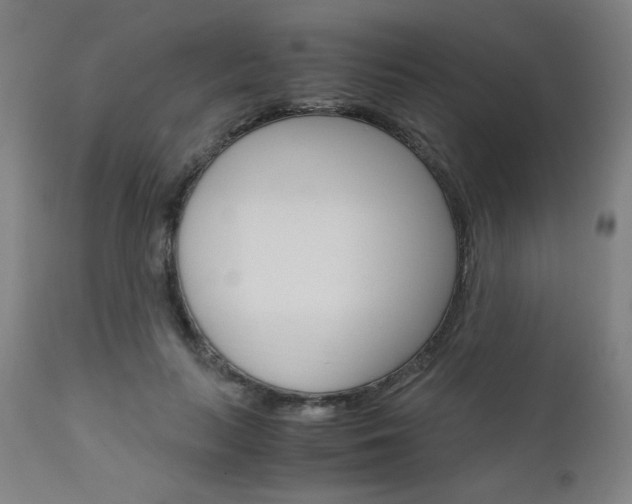 X0000110950647200906191116