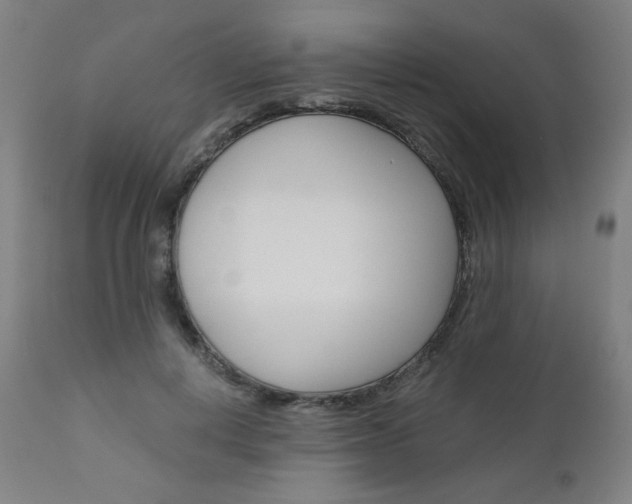 X0000110950648200906191116