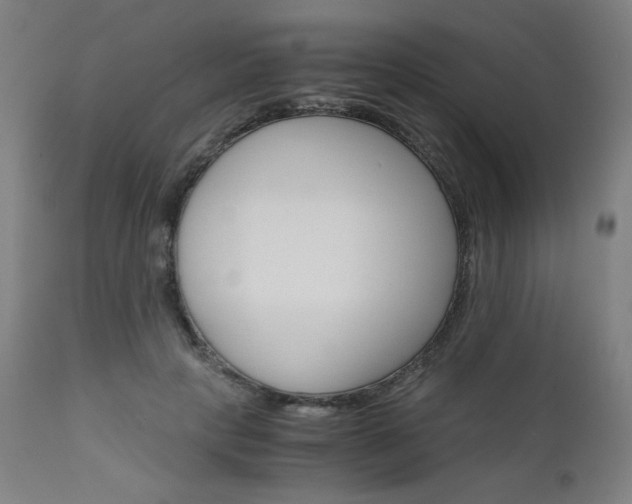X0000110950649200906191116