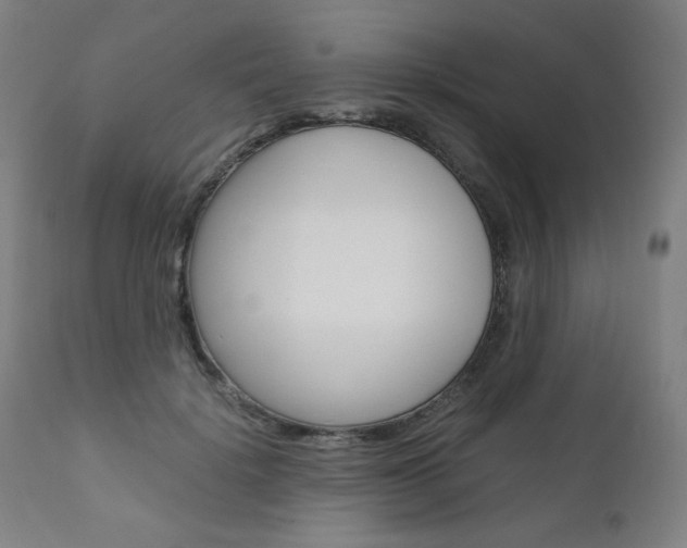 X0000110950652200906191116