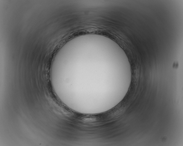 X0000110950653200906191116