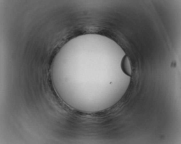 X0000110950655200906191116