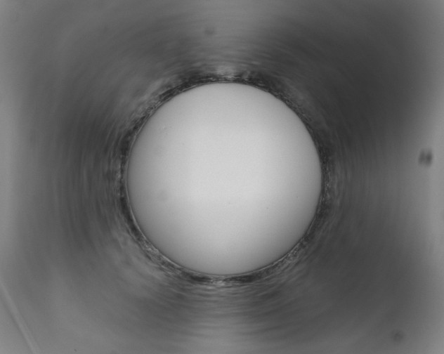 X0000110950656200906191116