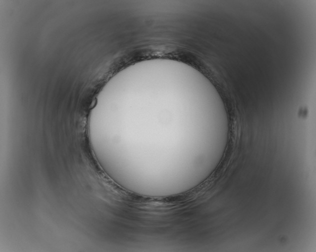 X0000110950657200906191116