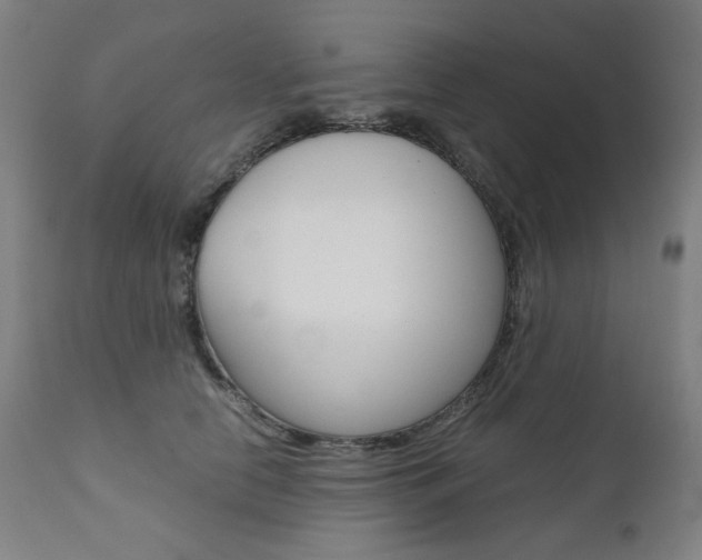 X0000110950658200906191116