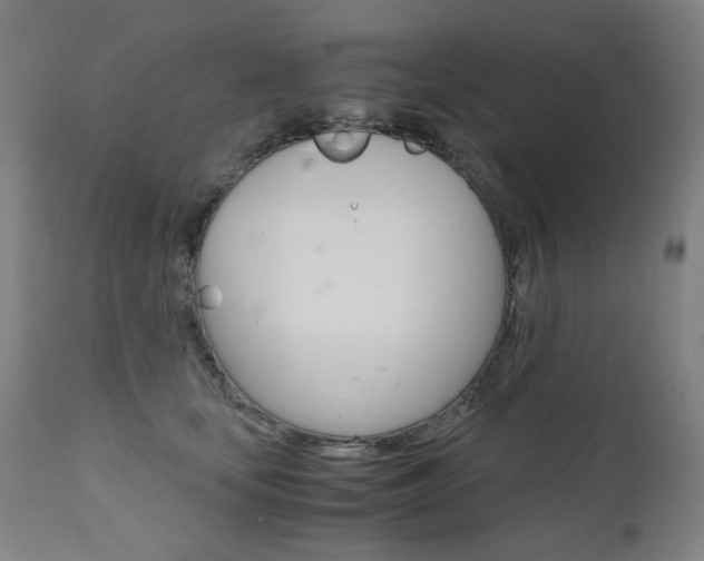X0000110950659200906191116