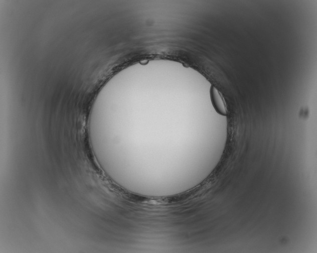 X0000110950660200906191116
