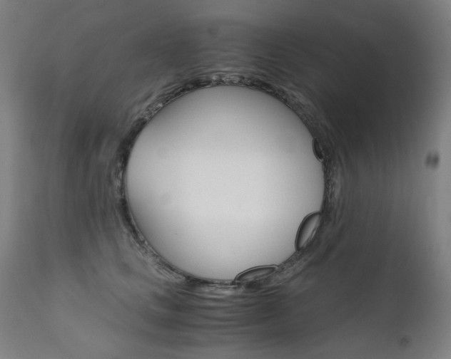 X0000110950661200906191116