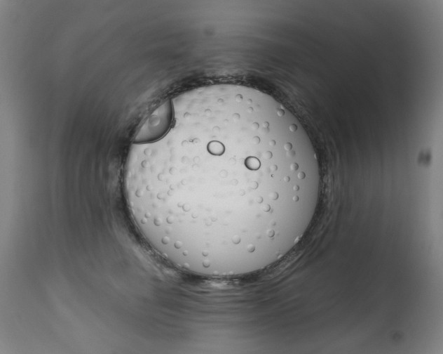 X0000110950662200906191116