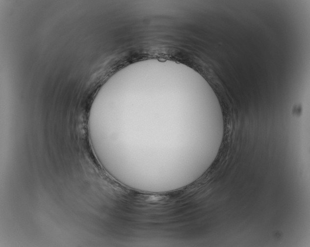 X0000110950663200906191116