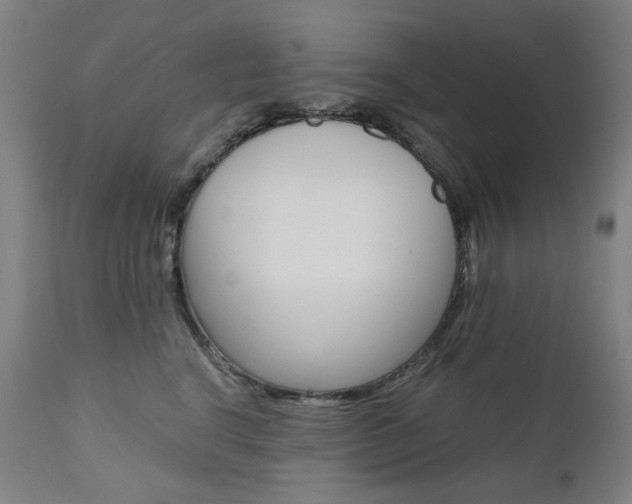 X0000110950664200906191116