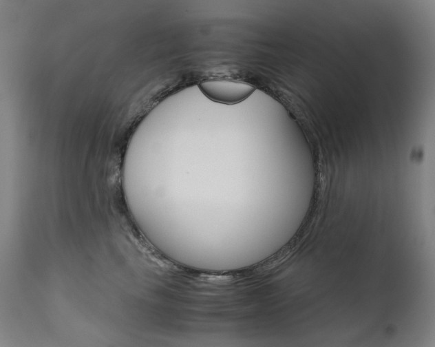 X0000110950665200906191116