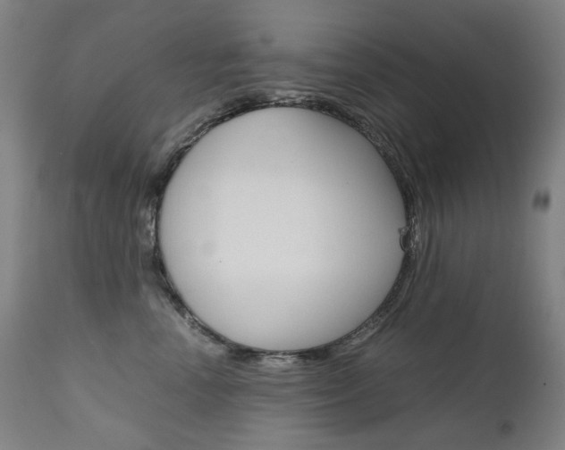 X0000110950666200906191116