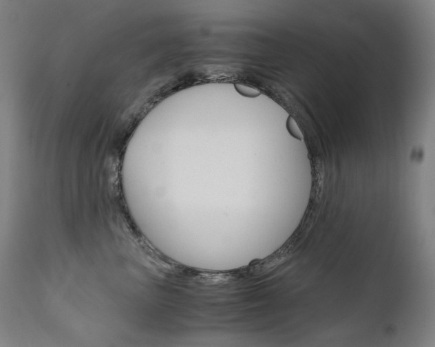 X0000110950667200906191116