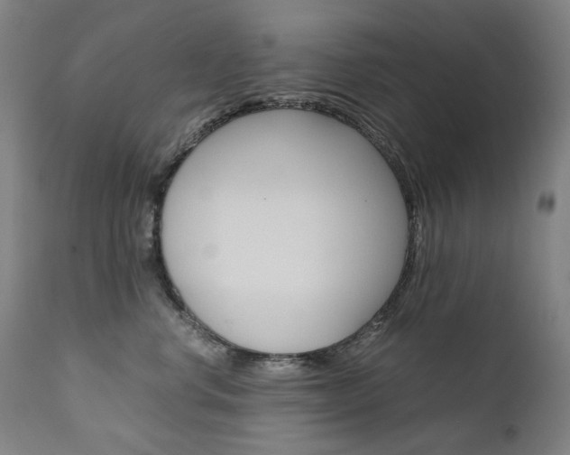 X0000110950668200906191116