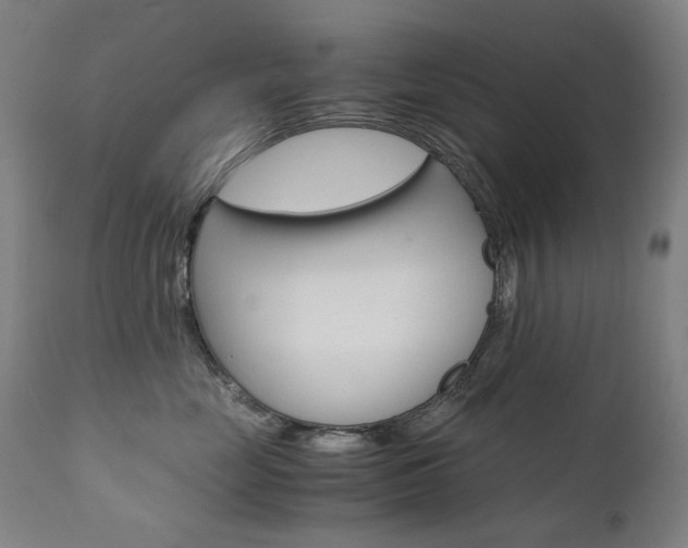 X0000110950669200906191116