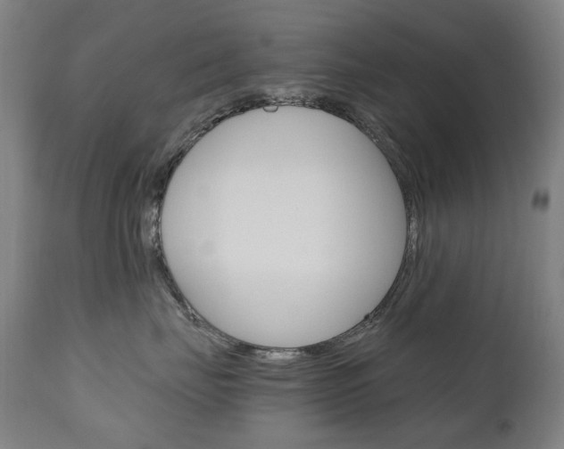 X0000110950671200906191116