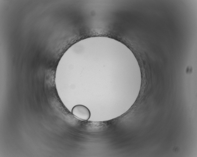 X0000110950672200906191116