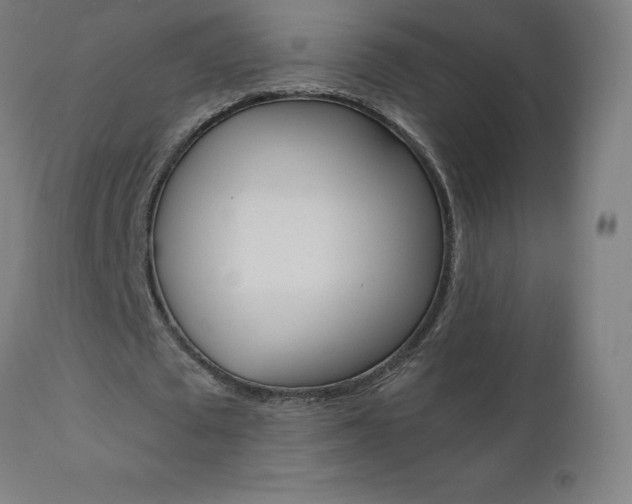 X0000110950673200906191116