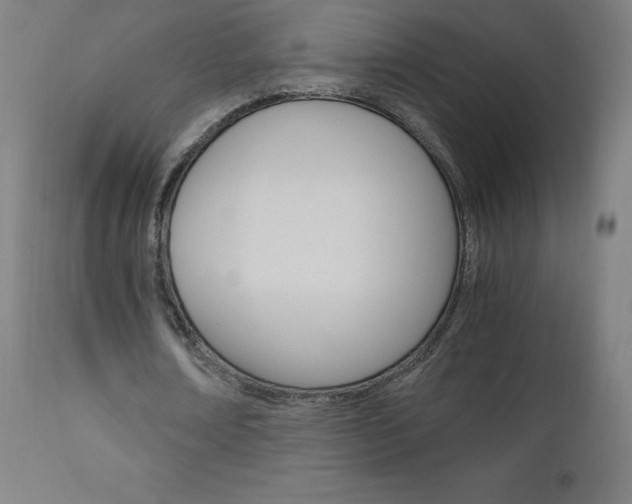 X0000110950674200906191116