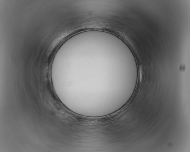 X0000110950675200906191116