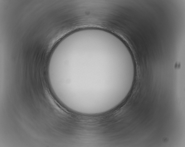 X0000110950677200906191116