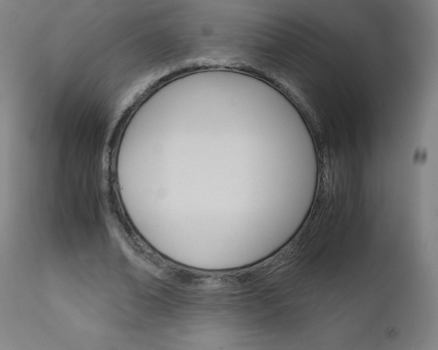 X0000110950678200906191116