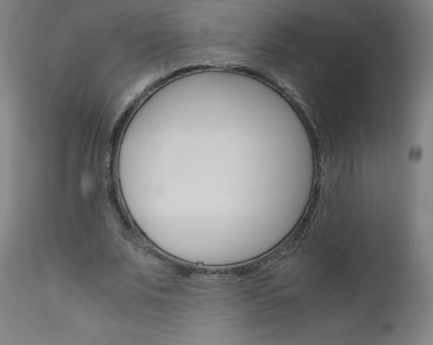 X0000110950679200906191116