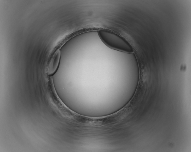 X0000110950680200906191116