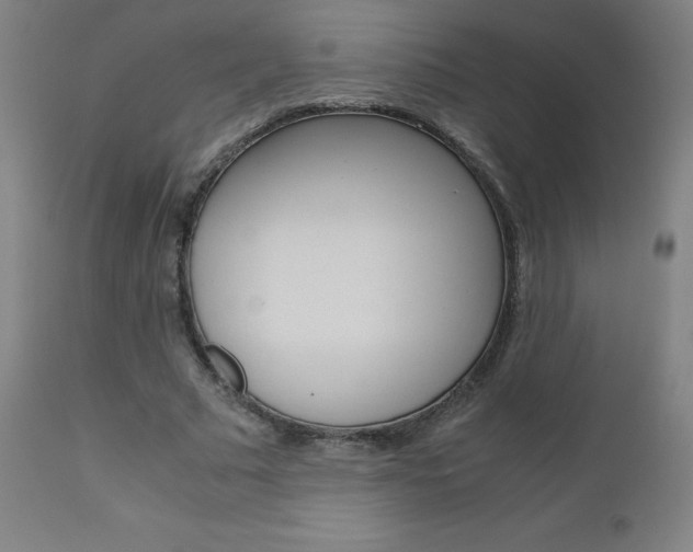 X0000110950681200906191116