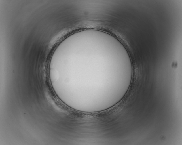 X0000110950682200906191116