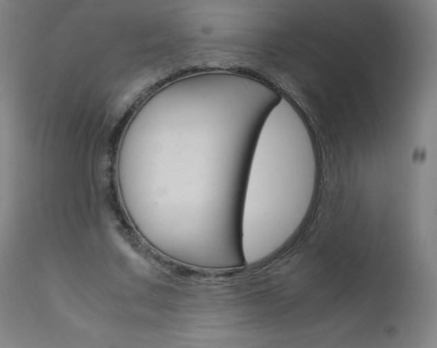 X0000110950683200906191116