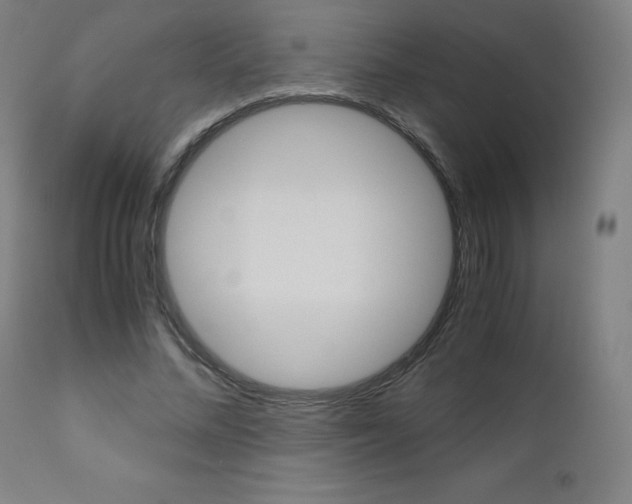 X0000110950684200906191116
