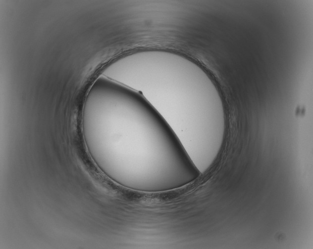 X0000110950685200906191116