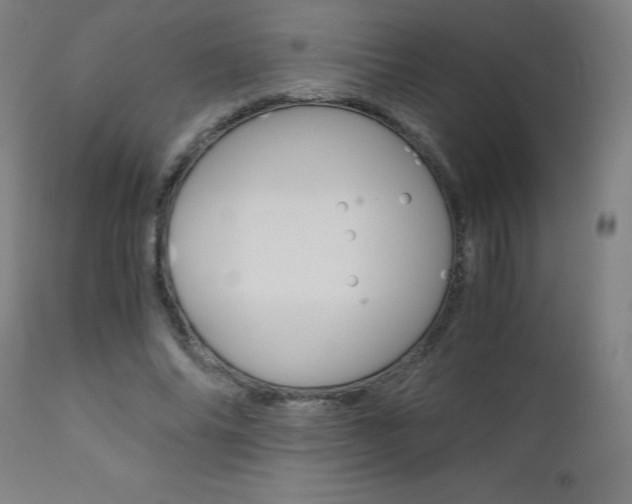 X0000110950686200906191116