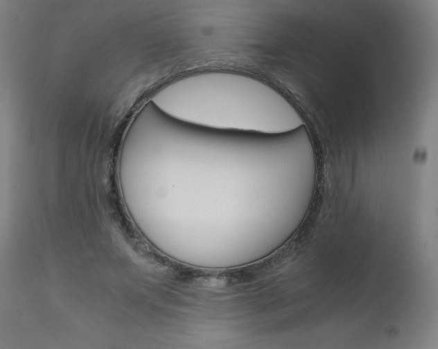 X0000110950687200906191116
