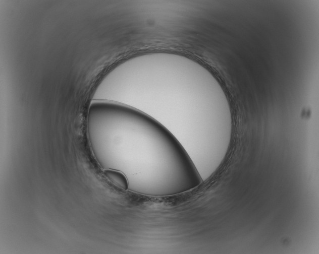 X0000110950689200906191116